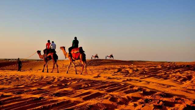 budget camel safari India