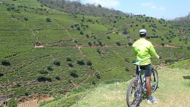 budget cycling India