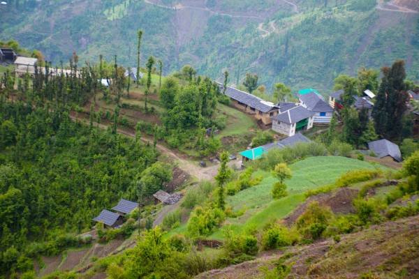 wooden homes and forest near in Gushaini