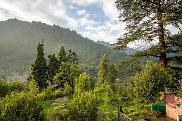 Apple orchard and peaceful cottages in Kalga village above Parvati Valley